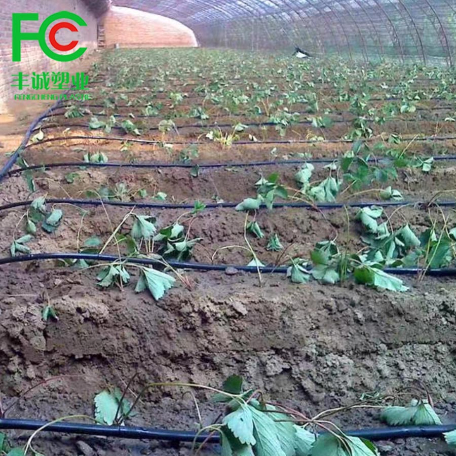 Agriculture Greenhouse Plastic Pipe Drip Tape for Irrigation Watering