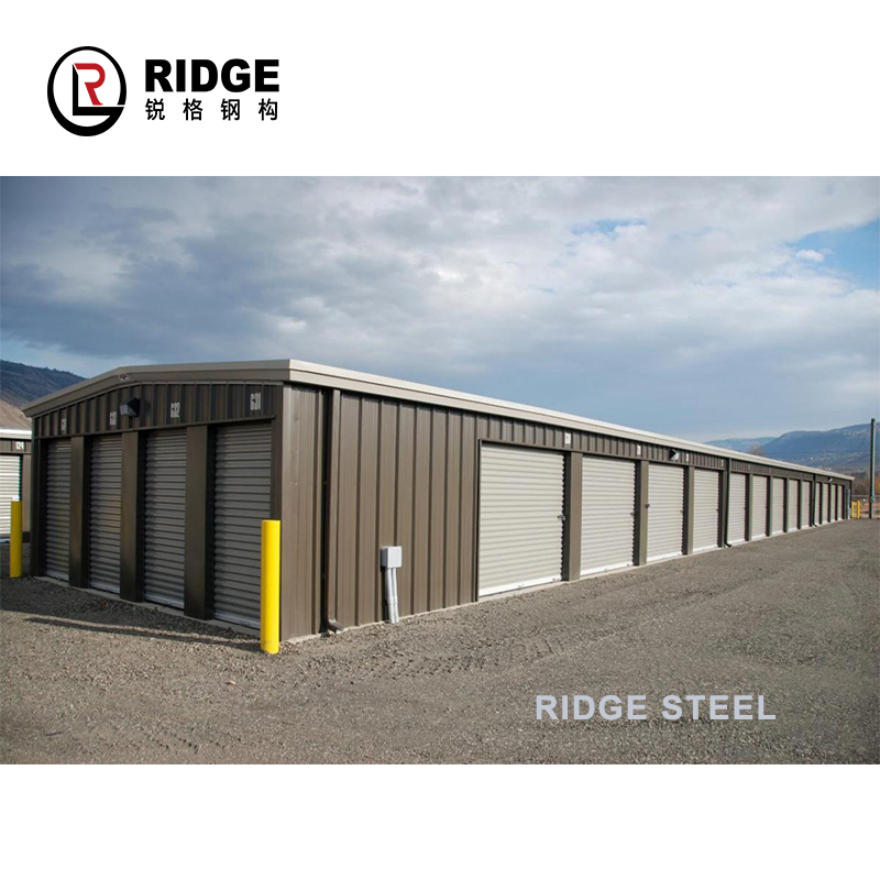 New Design China Supplier Prefabricated Steel Structure Shed