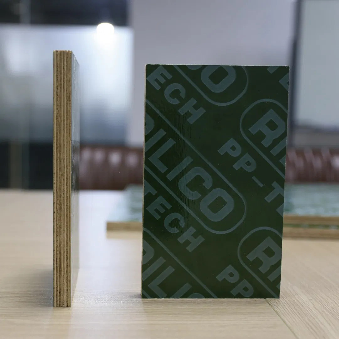 Eco-Friendly 18mm Green PP Plastic Plywood for Outdoor Use