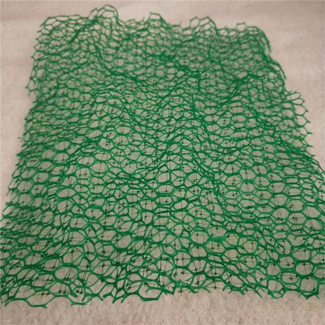 Hot Sale HDPE 3D Geomat Erosion Control Mat with Competitive Price