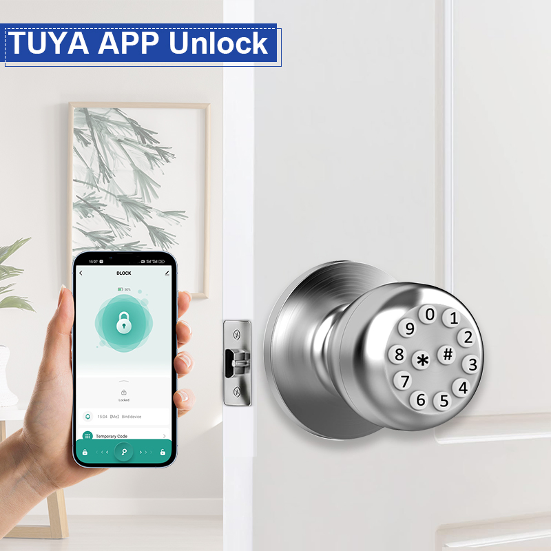 Home Office Apartment Indoor Electronic Smart Door Lock Tuya APP Security Digital Password Camakt Smart Door Lock