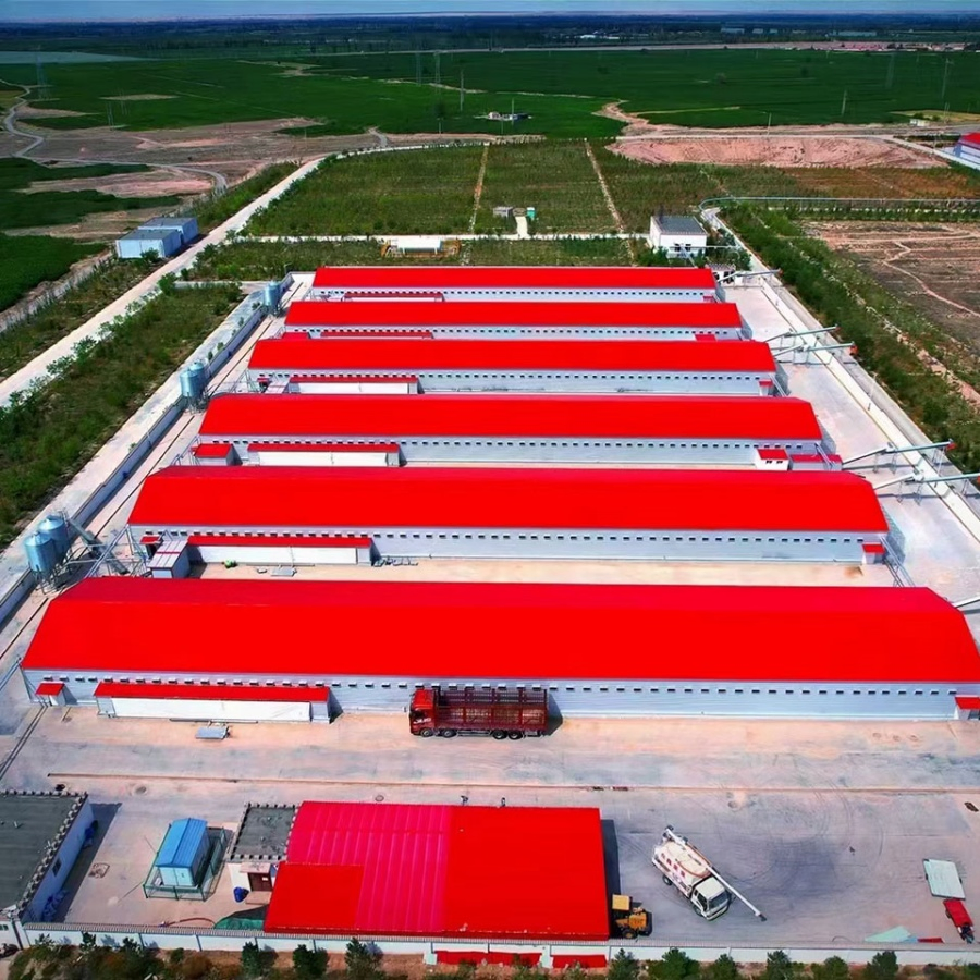 Prefabricated Hot Galvanized Steel Structure Building Poultry Farm Chicken House