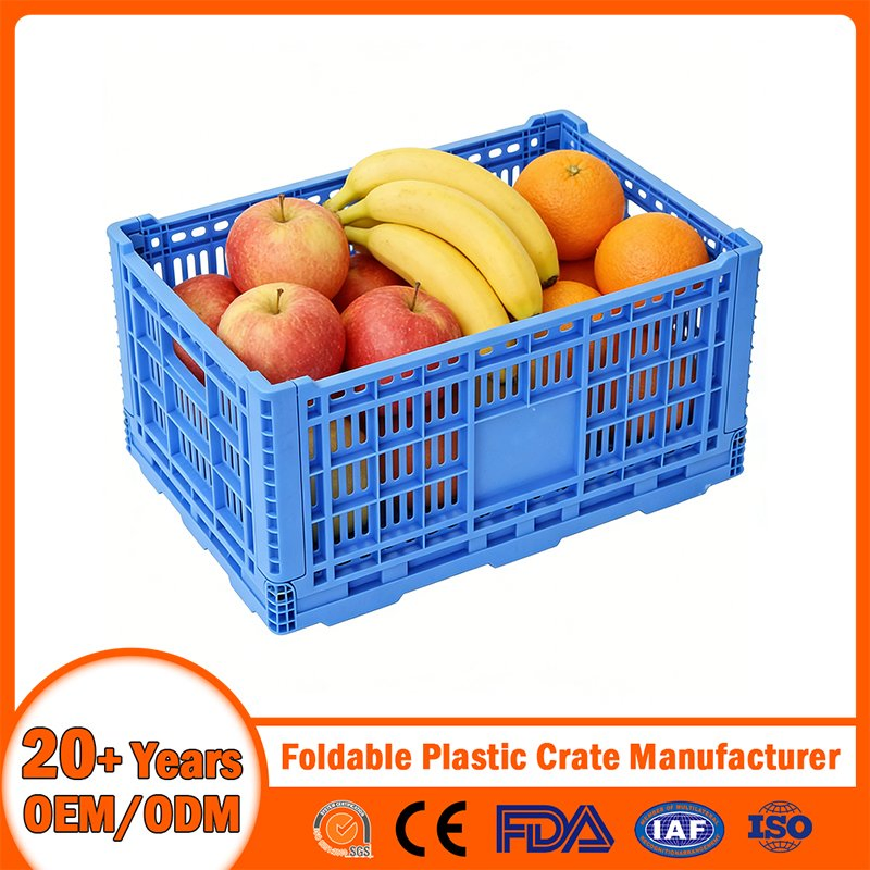 China Foldable Plastic Crate Manufacturer Nestable Mesh Tote Crate for Moving/Turnover/EU/Lobster/Bread/Bale/Egg/Mike Logistaic/Supermarket/Vegetable/Fruit