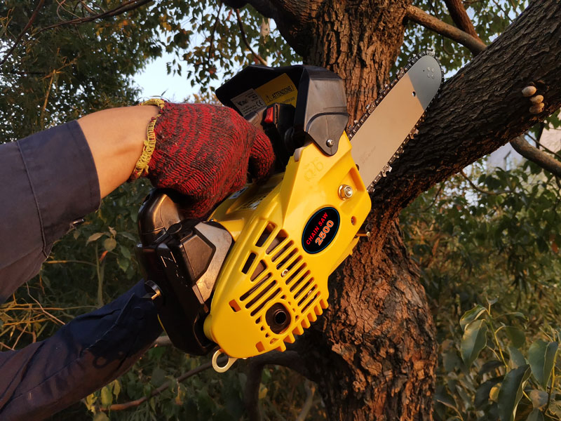 Reasonable Price and Good Quality Professional Portable 2500 25cc 25.4cc Mini Chainsaw