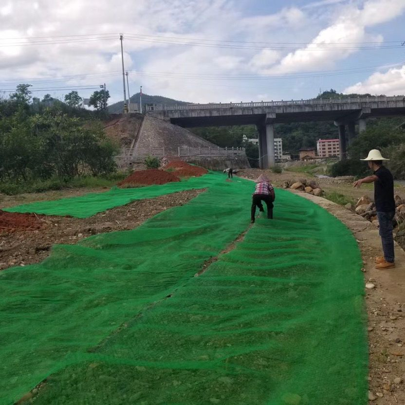 Lightweight Vegetation Net Breathable for Rooftop Garden Greening Plant Protection Custom Length