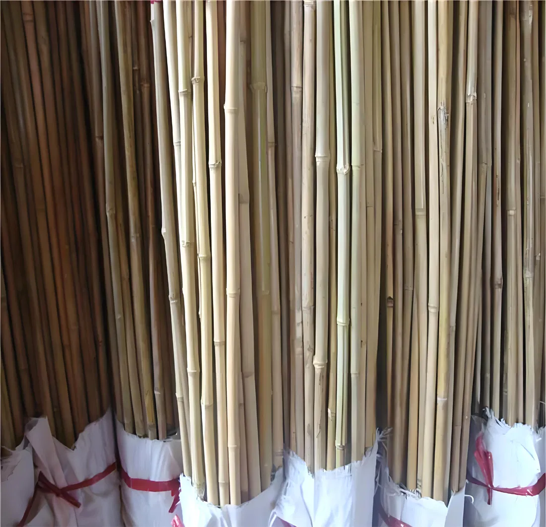Planting Nursery Use Bamboo Raw Sticks Canes Stakes & Poles