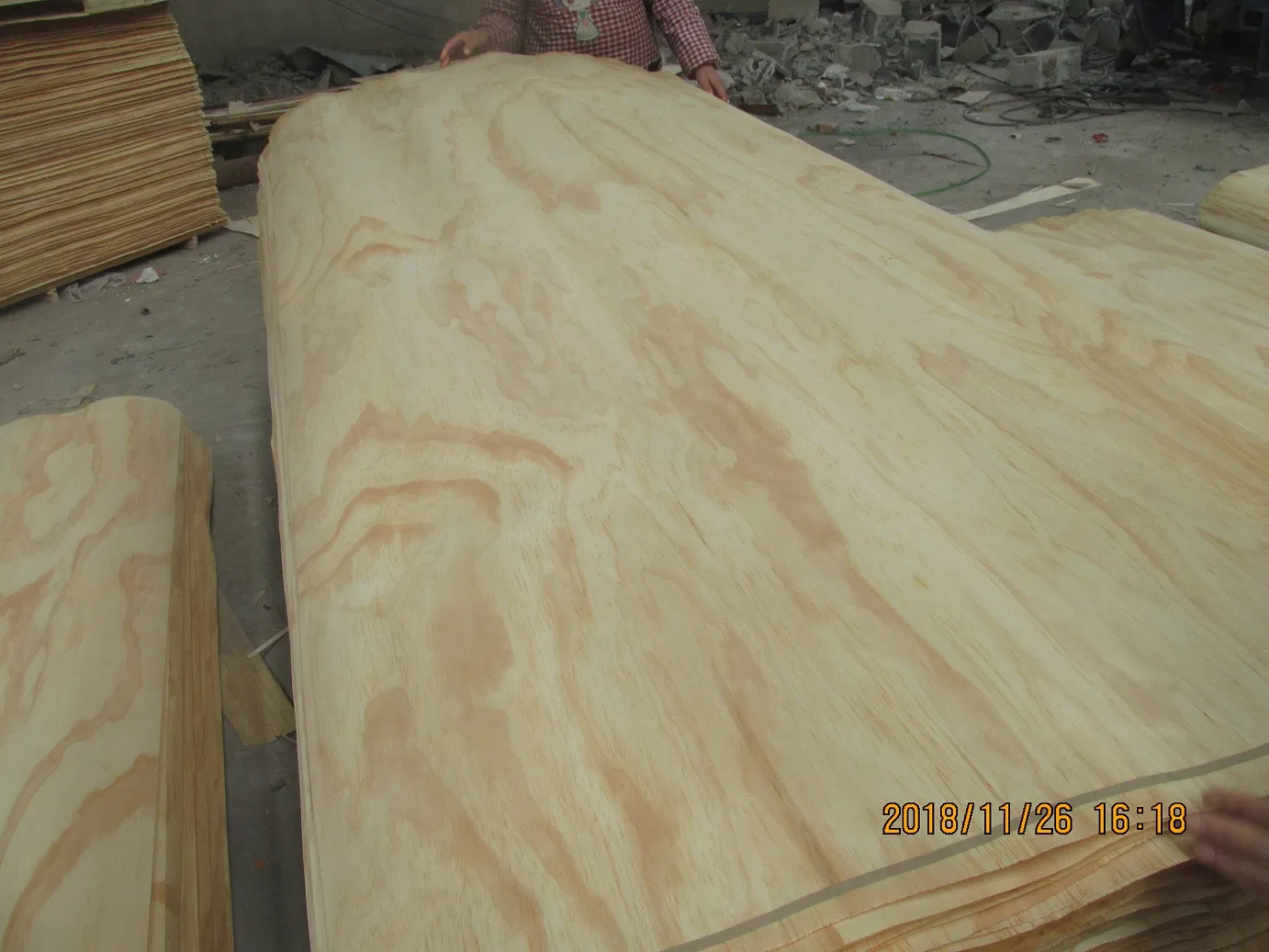 Comaccord Wholesale 100% Natural Pine/Eucalyptus/Acacia Core Veneer for Making Plywood