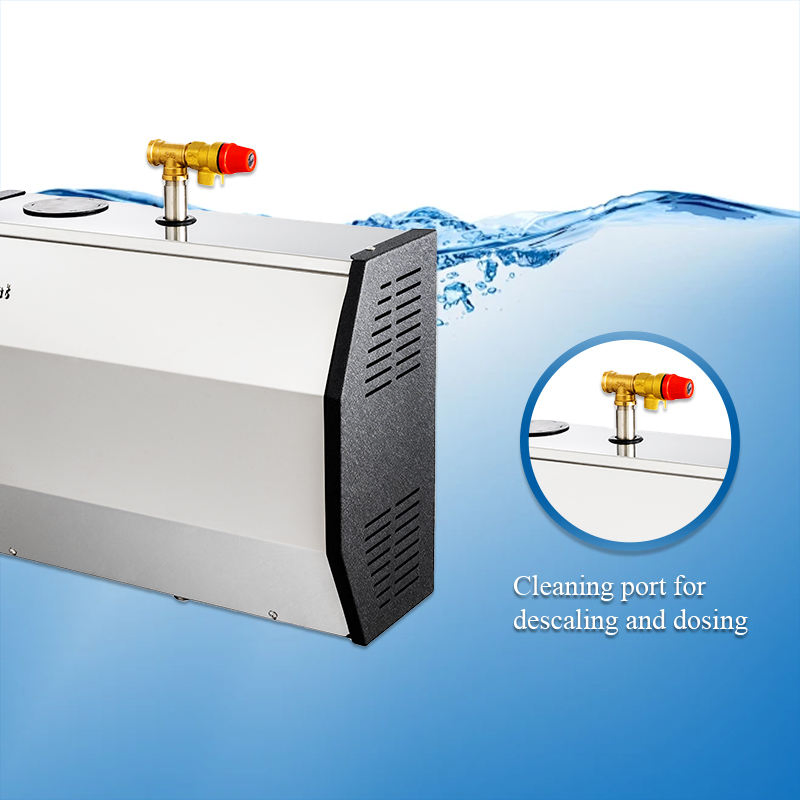 Dloolst 3kw Steam Room Steam Generator Sauna Mist Generator for Home SPA