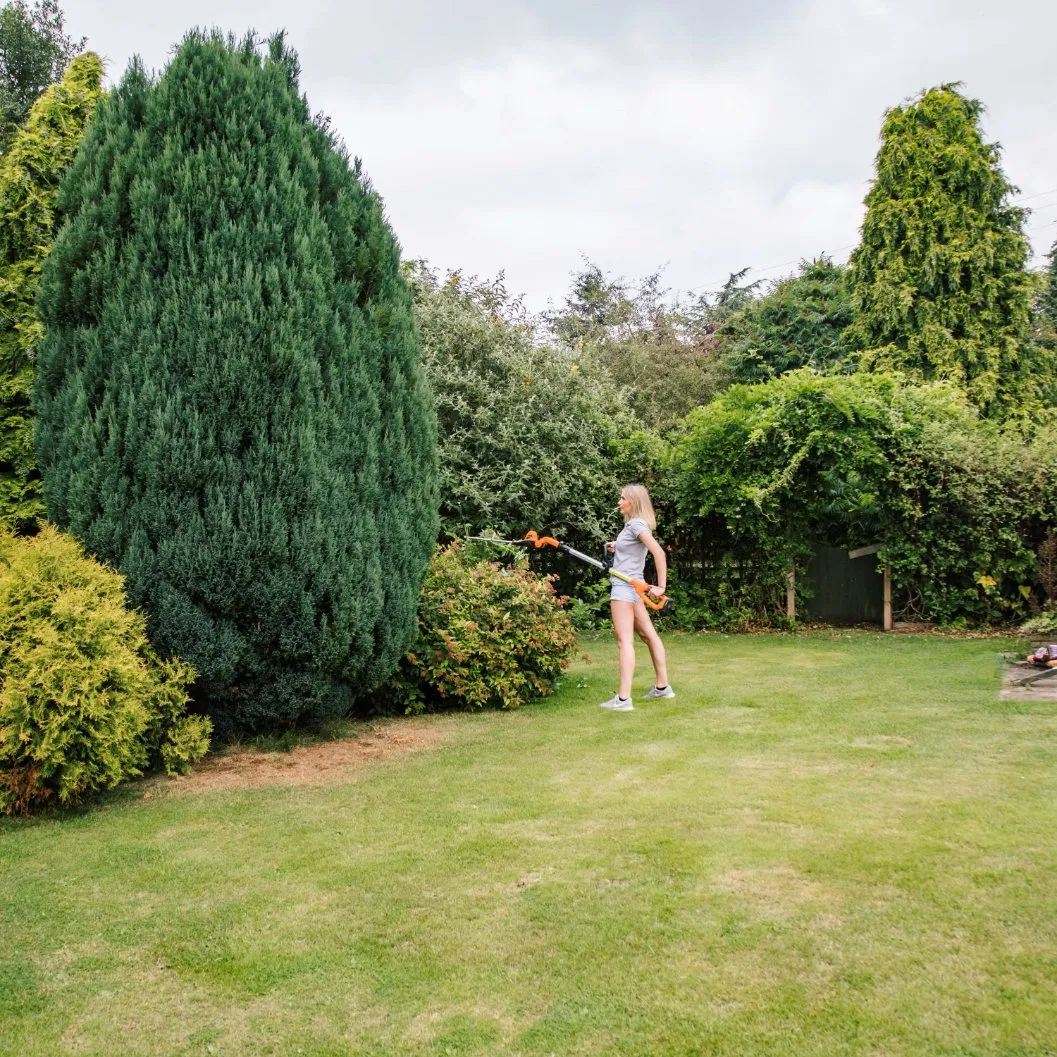 Proper Gap Design Vertical Trimming Cordless Pole Hedge Tree Trimmer - Lh C41A