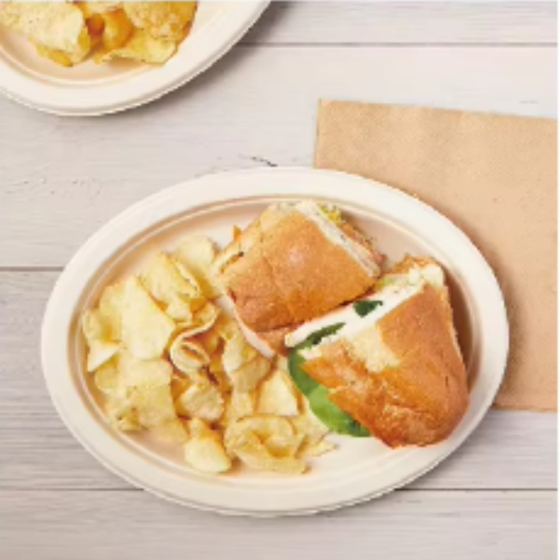 Bagasse Disposable Takeaway Food Salad Plates