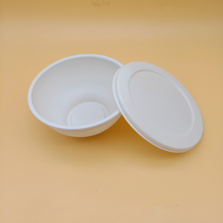 Environmentally Friendly Compostable Corn Starch Food Noodle Bowl