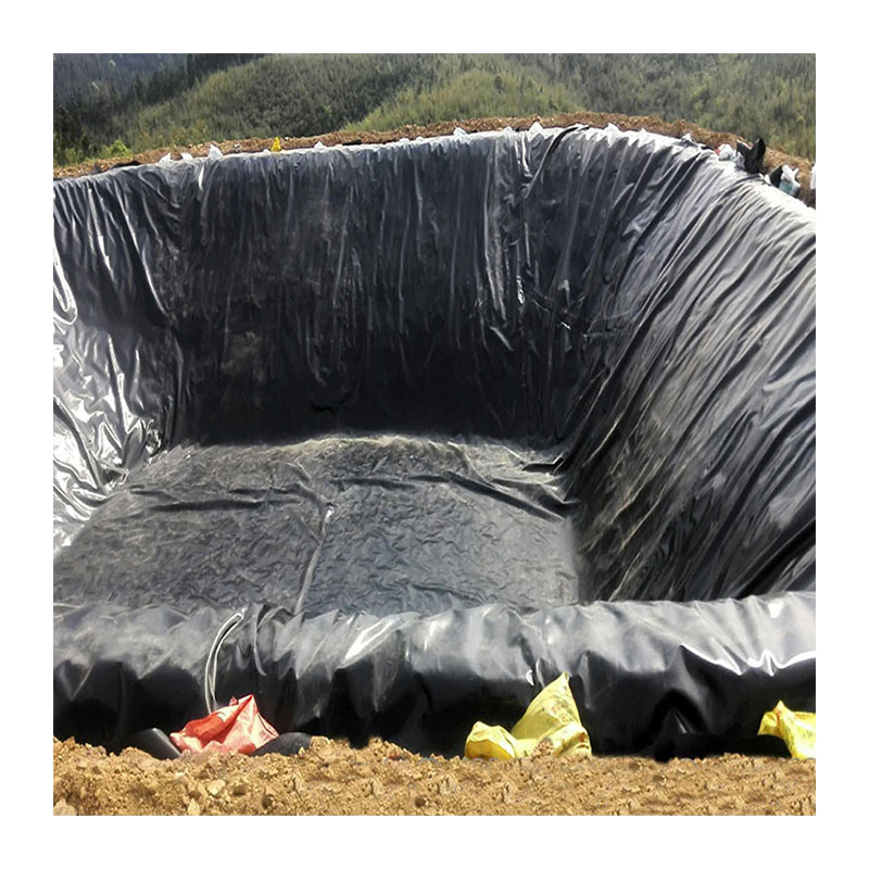 1mm 1.5mm 2mm Fish Farm Pond Liner HDPE Geomembrane