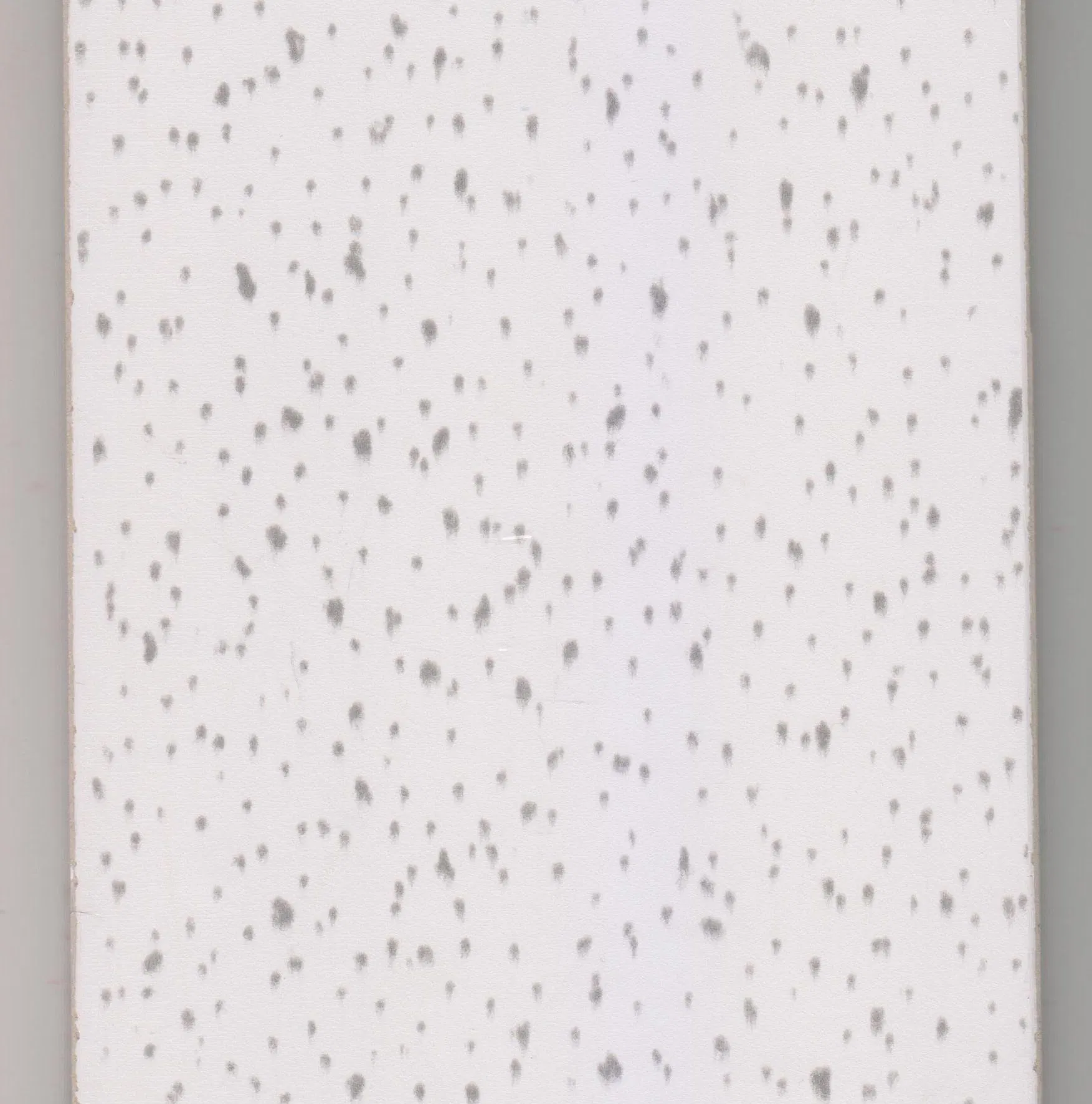Fiber Cement Board High Quality Decorative Ceiling Tile