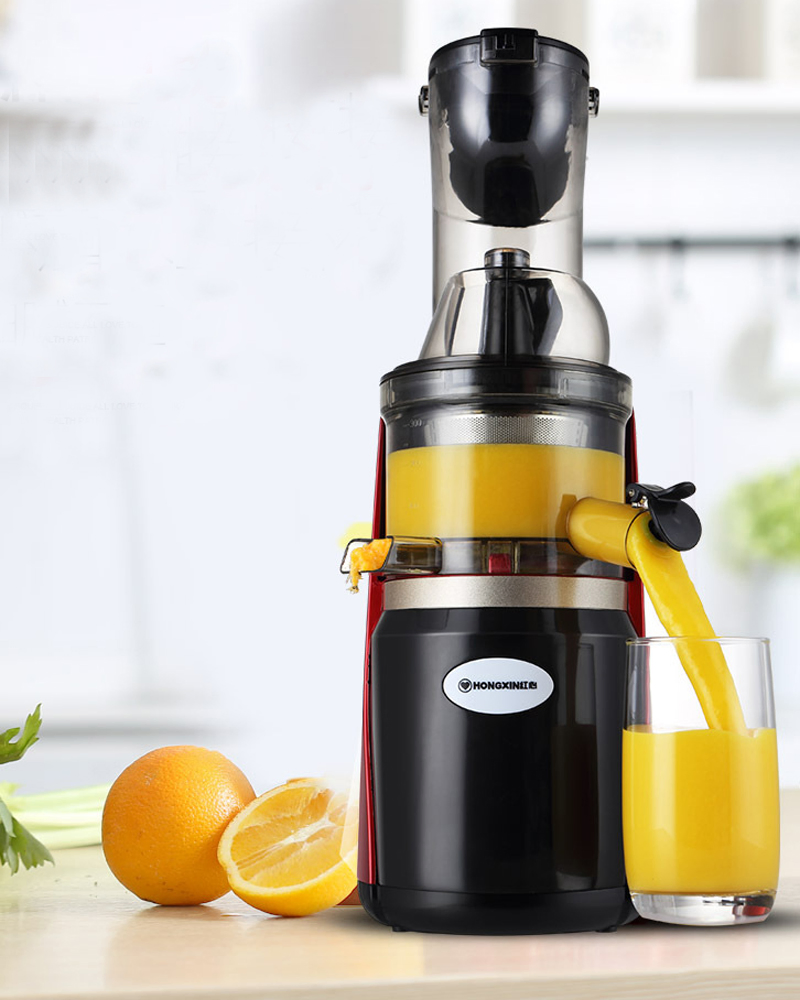Low Speed Juicer Fruit Grinder Juice Machine