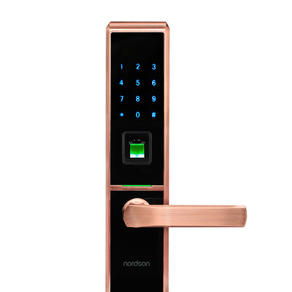 New Design Security Apartment/Home/Hotel Door Lock Fingerprint Smart Home Lock Nordson