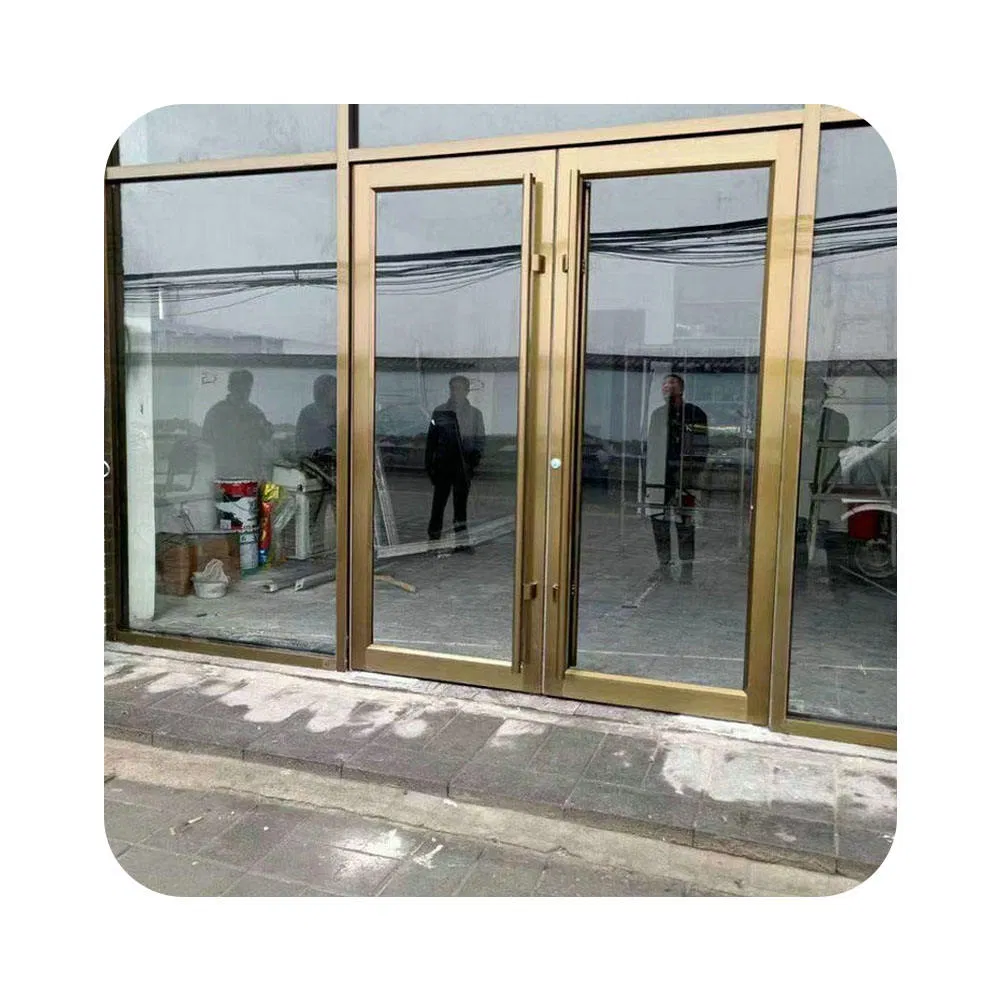 Aluminium Alloy Double Glass Entrance Swing Door