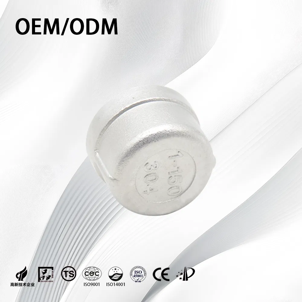 Stainless Steel Customize ANSI B16.9 Threaded Tube End Cap with Sand Rolling