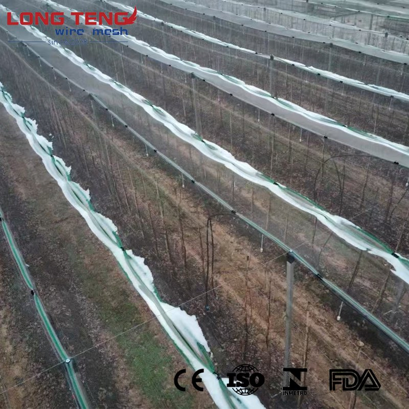 Anti Hail Netting Suppliers 100 Virgin HDPE Orchard Apple Tree Anti Hail Net