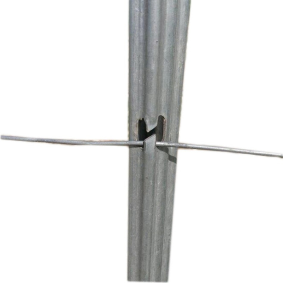 Vine Plants Vineyard Grape Stake Hot Dipped Galvanized Vineyards Trellis