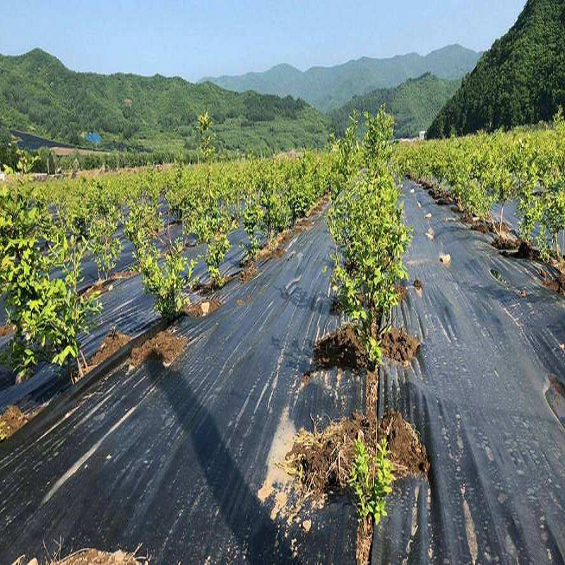 Polyester/Polypropylene Woven Geotextile 80-150G/M2 Agricultural Material
