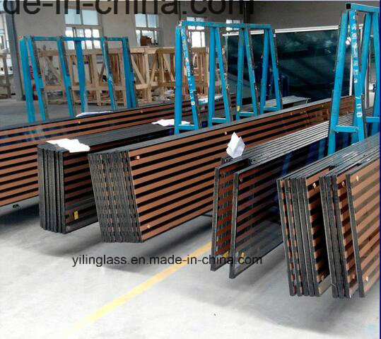 Silk-Screen Printing Double Glazing Glass with Color Pattern