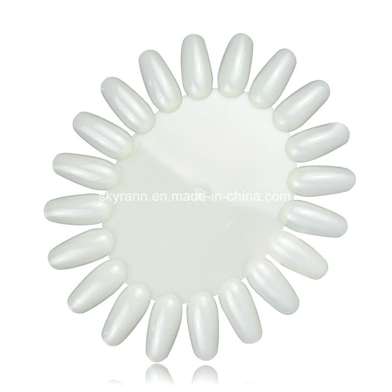 Transparent Natural Nail Tips Practice Manicure Tool Display 36 Tips Color Chart Practice Wheel Round Shape Nail Tips Practice Display