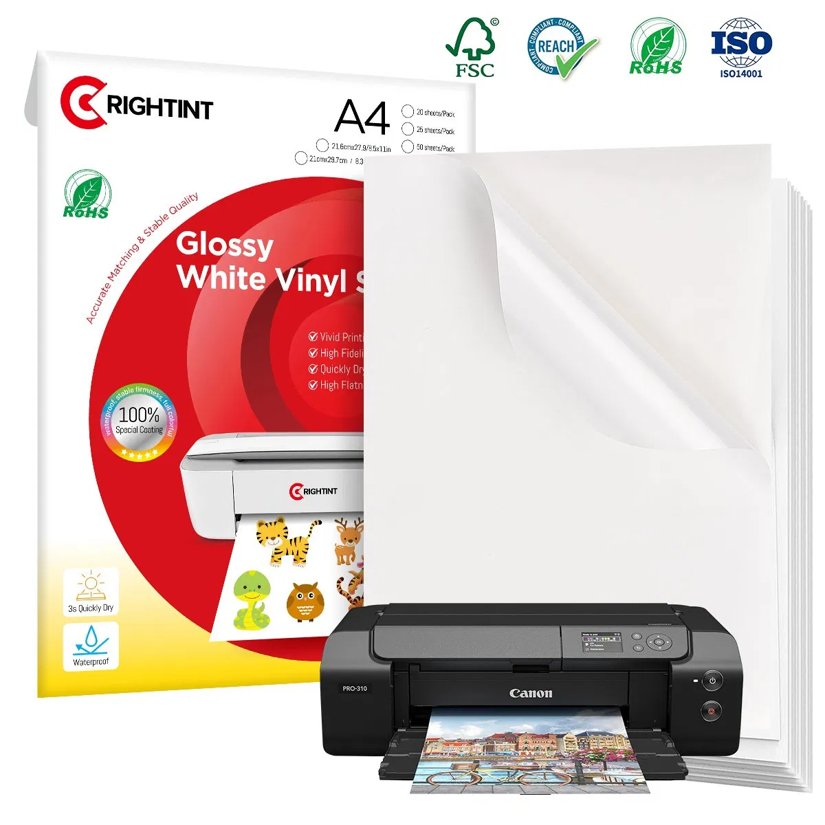 Inkjet Glossy PP Adhesive Roll for Custom Label