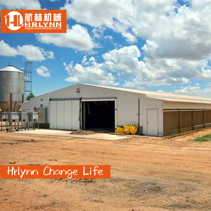 Steel Structure Broiler Chicken Coop House Poultry House