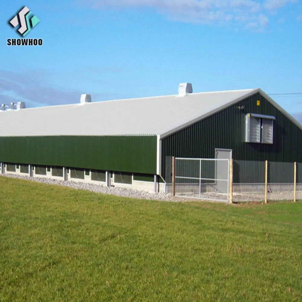 Chicken House Poultry Farming Broiler House Wall Seat Cheap Price Design Kenya