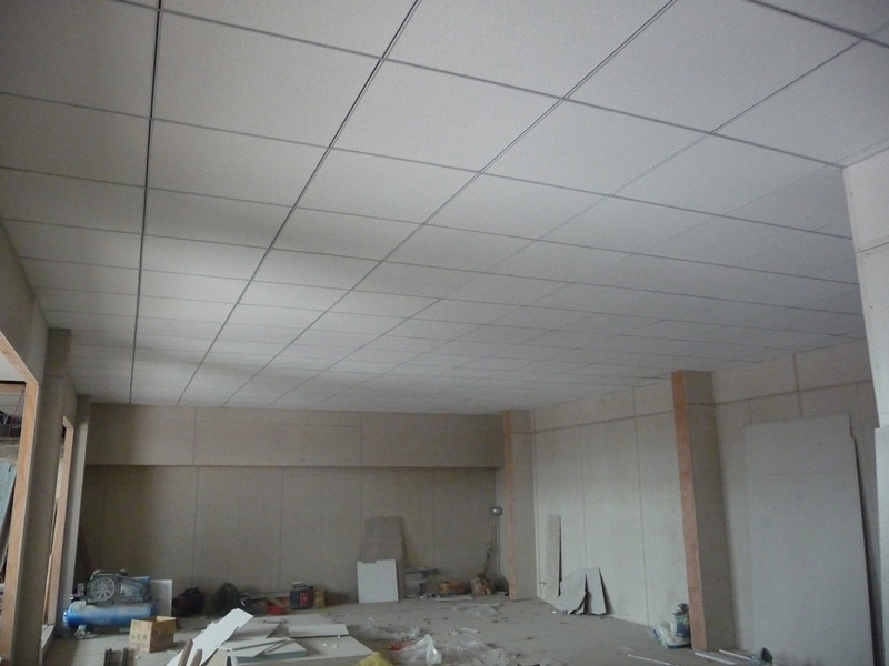 Fiber Cement Board Building Materials Decorative Calcium Silicate Board Ceiling Tile