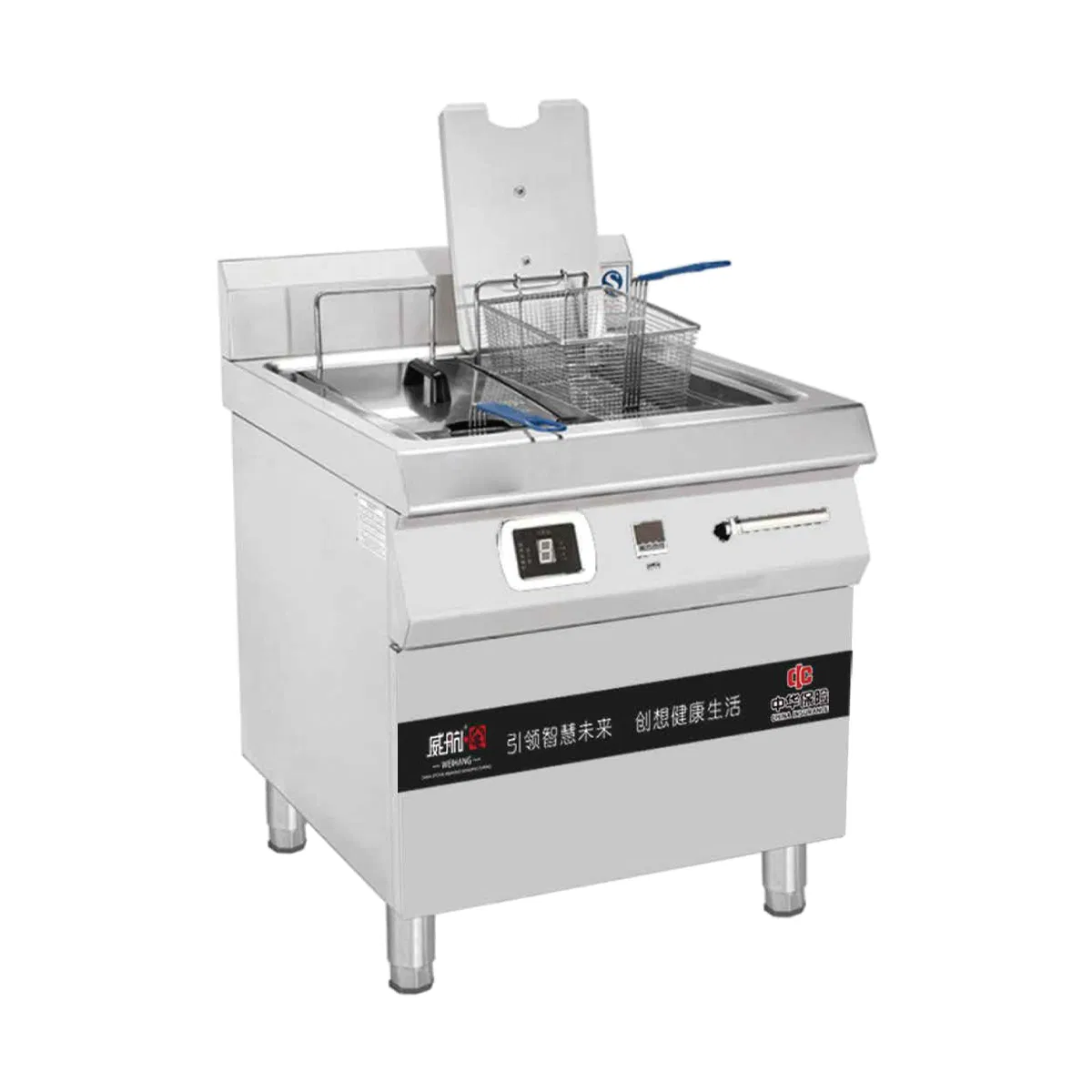 Professional Double-Tank Gas Fryer for Perfectly Fried Foods