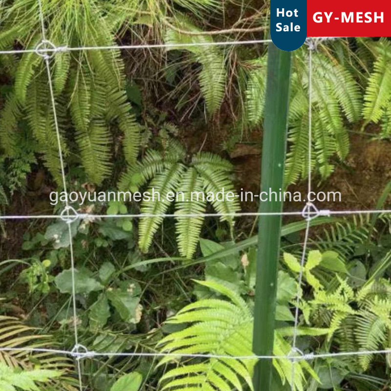 High Quality Field Fence and Fence T Post Application