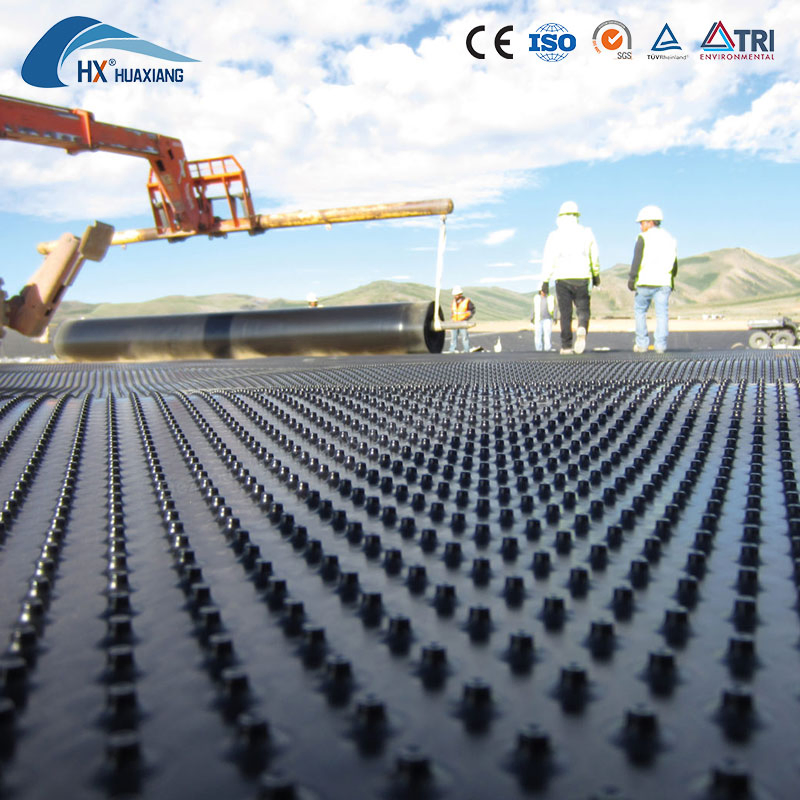 Waterproofing 8mm Plastic Dimple Drainage Board Dimple Drain Board for Underground Outdoor Wall Seepage Prevention