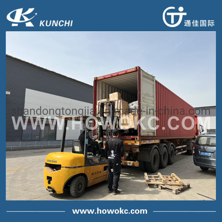 Кронштейн задней опоры двигателя Sinotruk HOWO Wg9725593016/3026