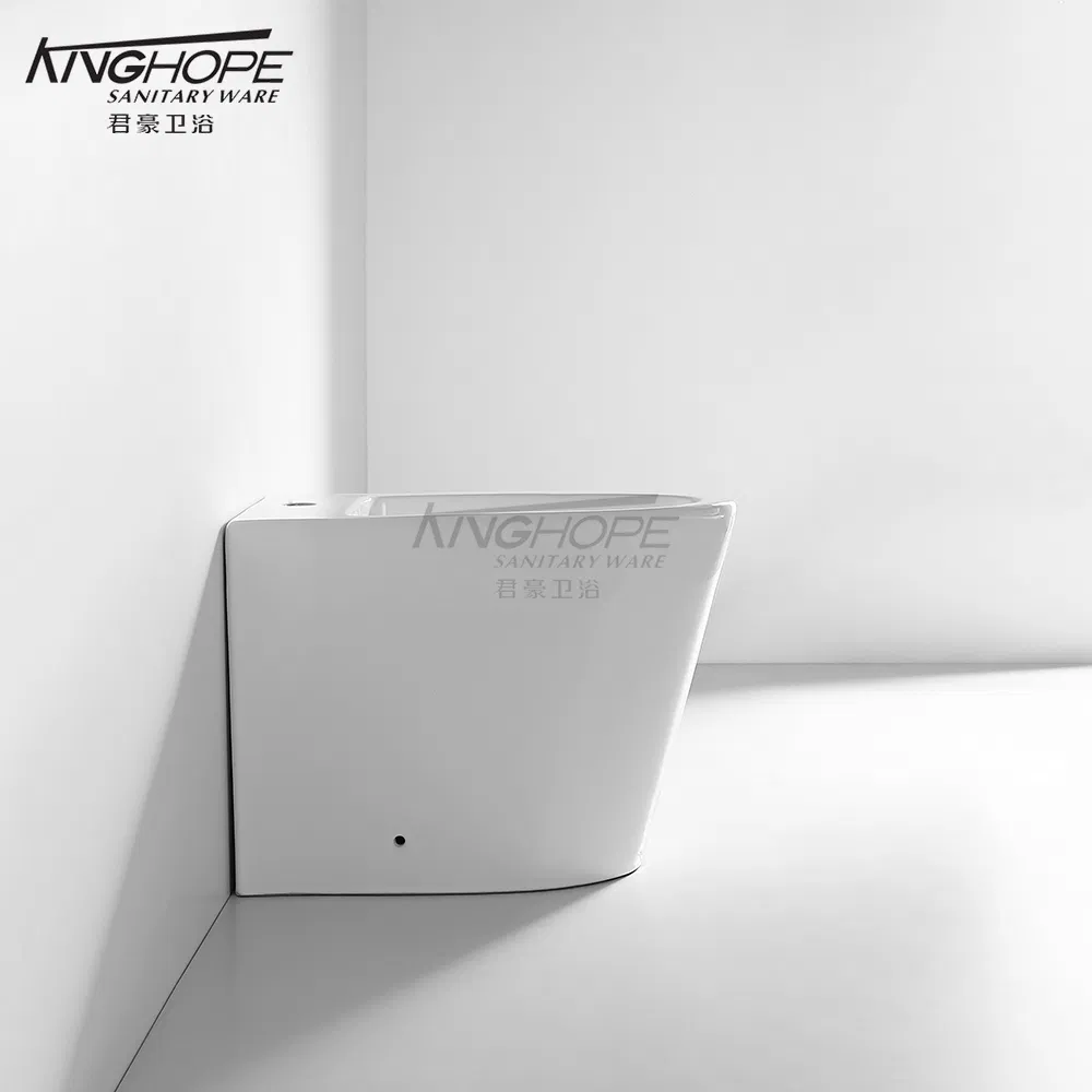 Floor-Mounted Bathroom Furniture Ceramic Powerful Cleaning Customization Available WC Bidet