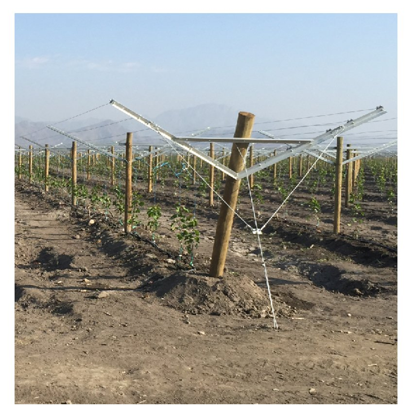 High-Quality Galvanized Steel Grape Vineyard Trellis Post System Kit