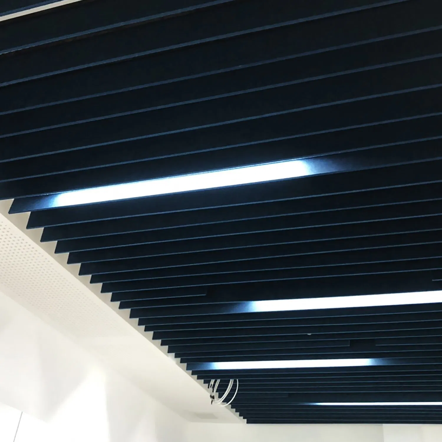 Pet Acoustical Ceiling Tile