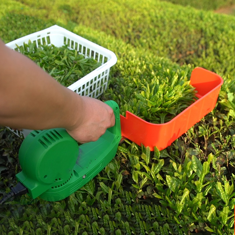 Machine Tea Harvester Battery Operated Tea Plucker Handheld Electric Tea Picker