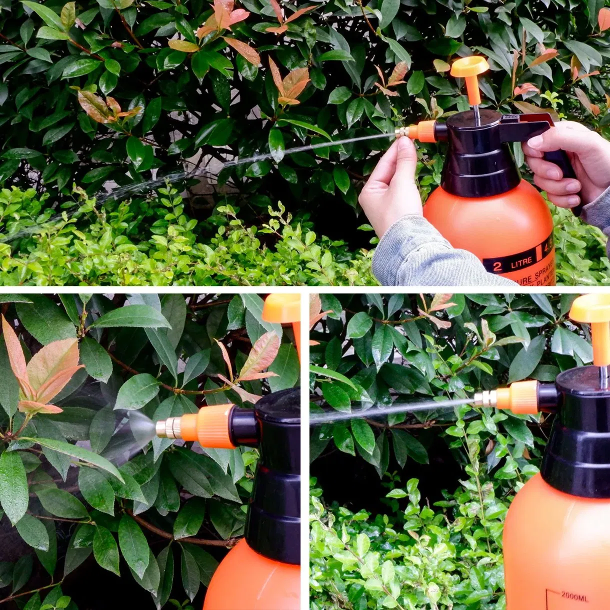 2 Liter Hand Pressure Garden Pump Sprayer 0.5 Gal Adjustable Lawn Mister for Sprinkling Weeds