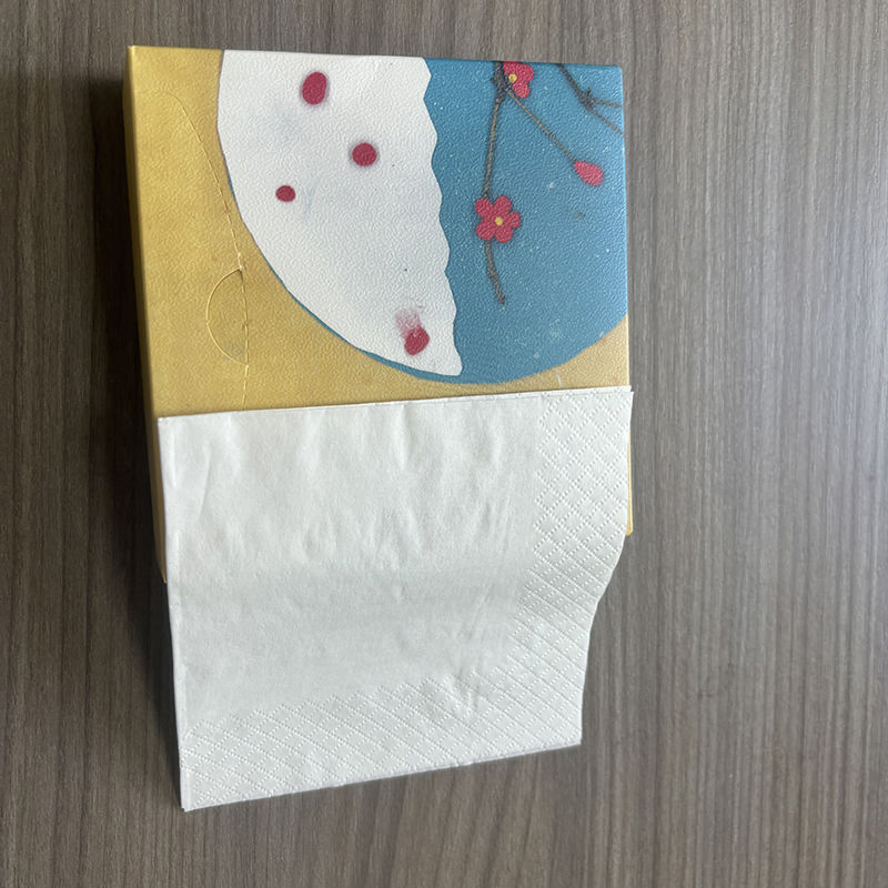 Premium 2-Ply Bamboo Facial Napkins for Hotels and Restaurants
