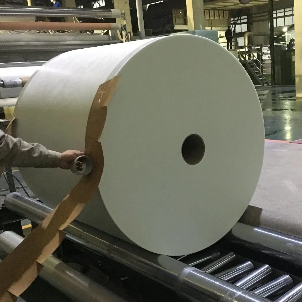 Wall Covering Tissue, Glass Fiber Tissue for Acoustic