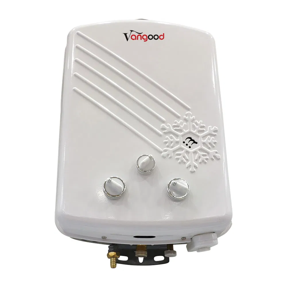 Golden Supplier Universal Mini Portable Caravan Tankless Gas Water Heater 110V
