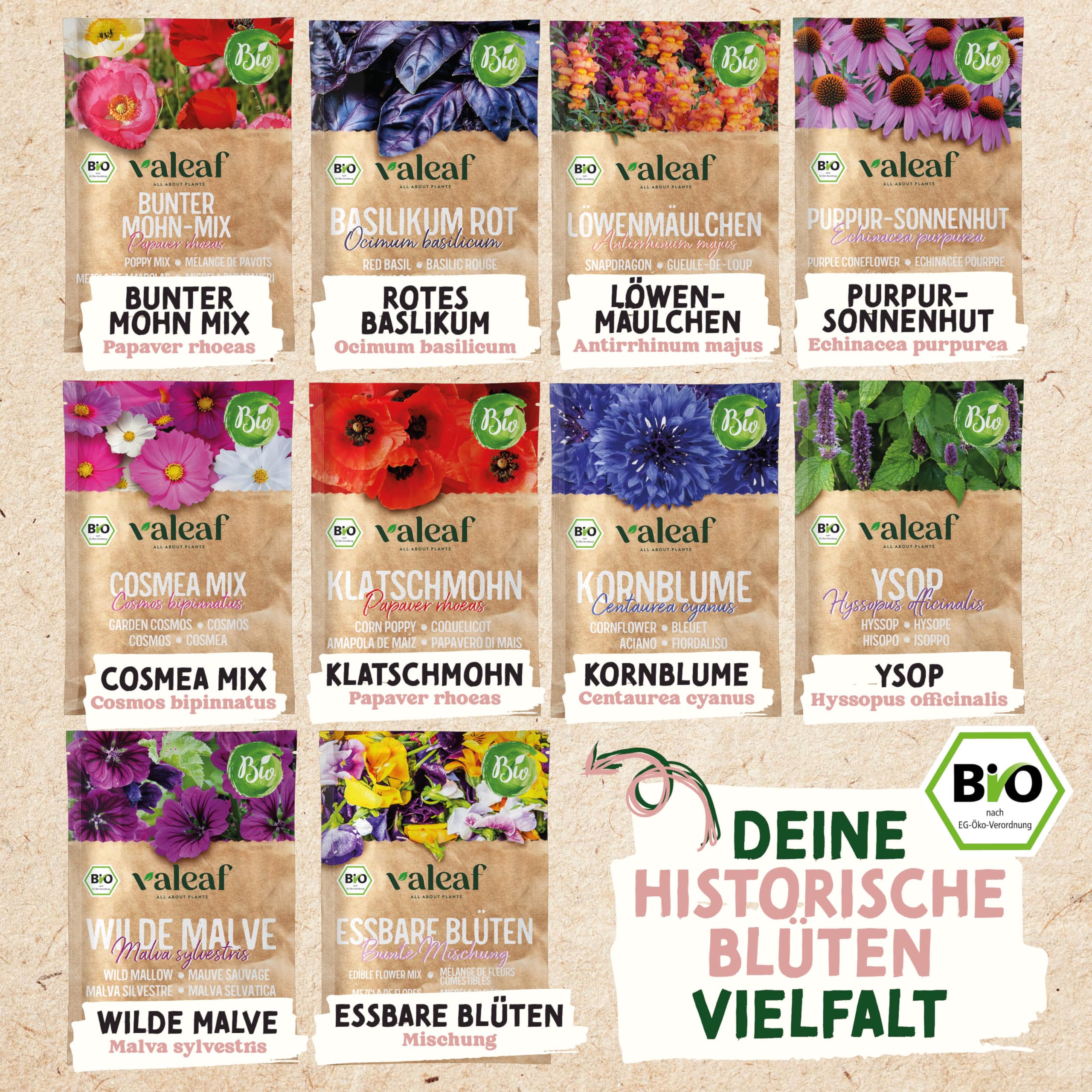 Набор для выращивания цветов домашний