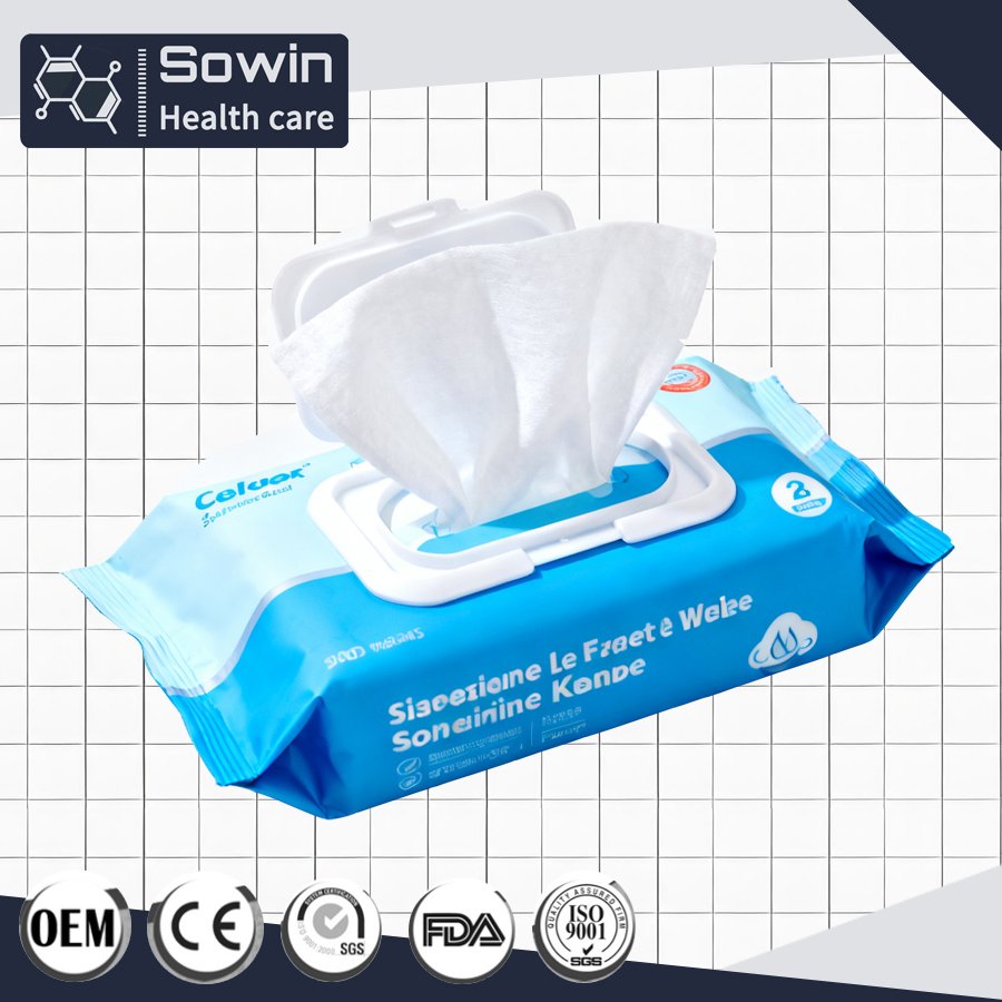 OEM Producing Virus-Killing Hospital Grade 100sheets Disinfectant with CE Certification