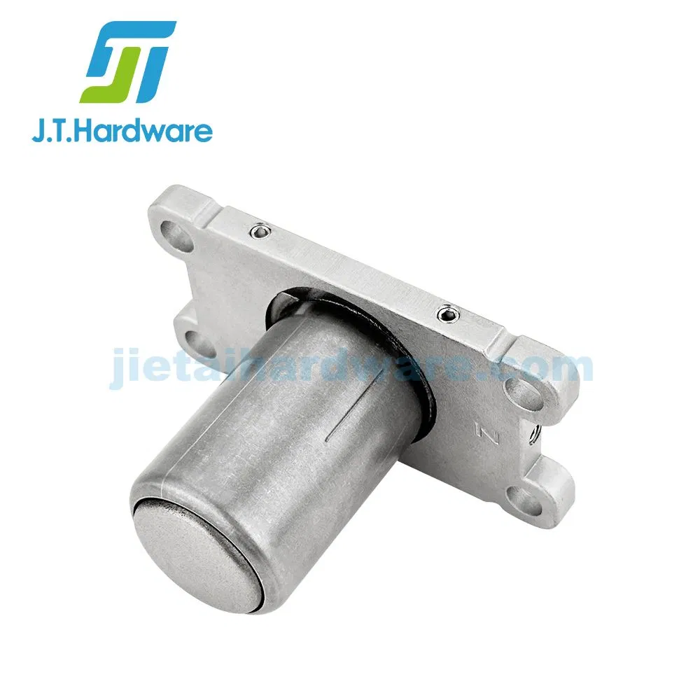 SUS 304 Stainless Steel Center Pivot Hinge Rotating Shaft