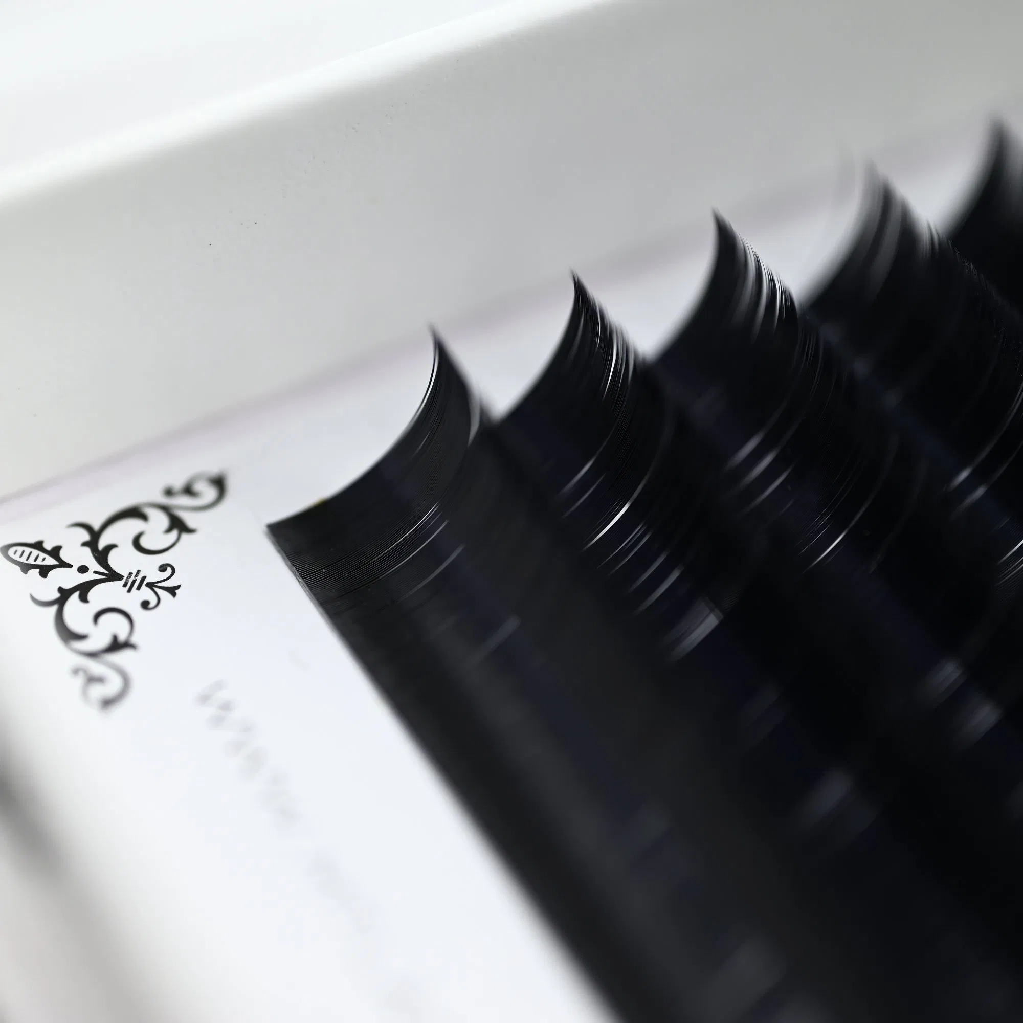 Mt Lashes Supplier Customized Bulk C D J Curls Fluffy Wispy Classic Eyelash Extension