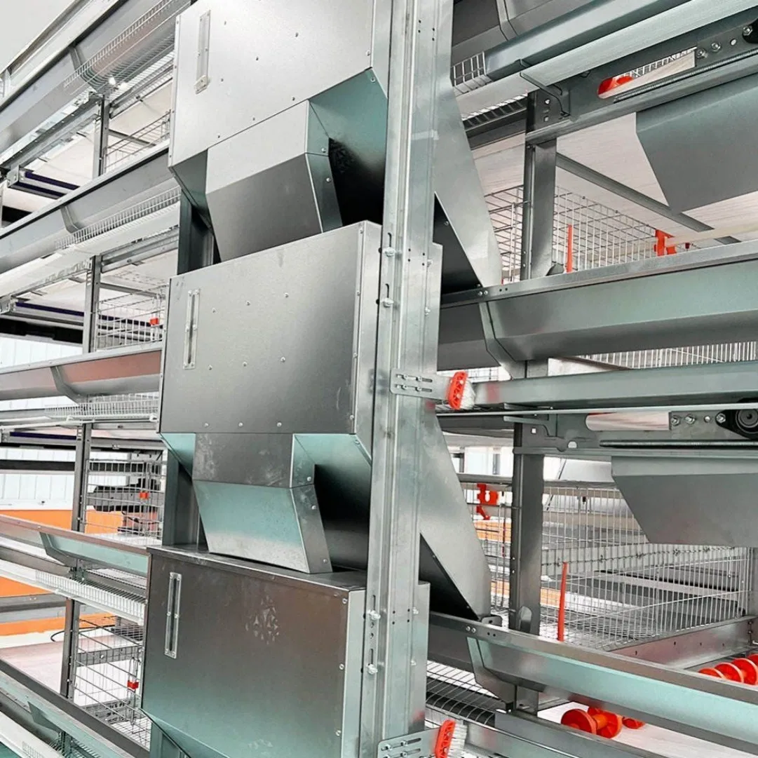 Pullet Growing Cage with Adjustable Height to Accommodate Different Bird Sizes