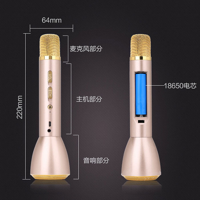 2600mAh Wireless Bluetooth KTV Microphone and High Quality Speaker