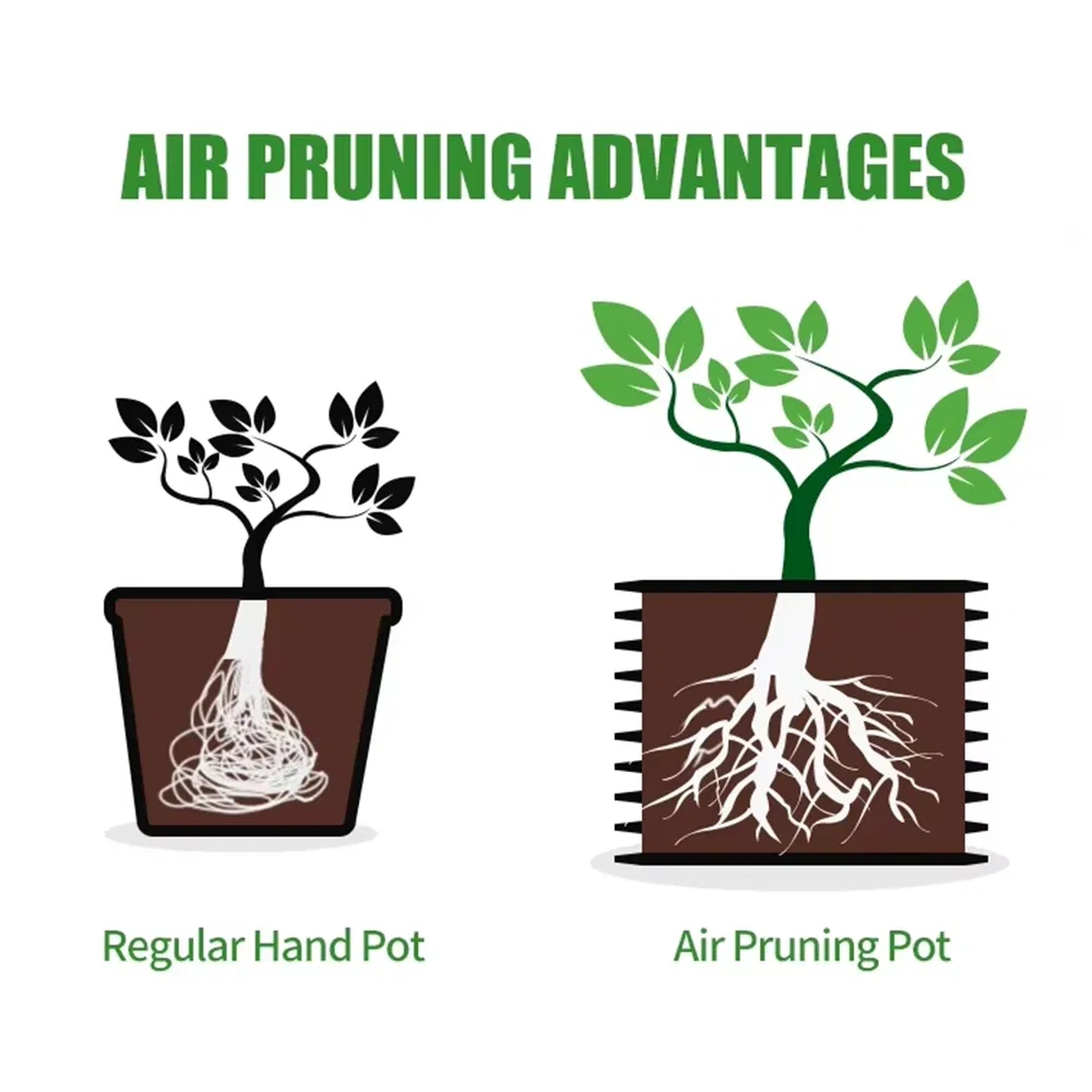 Complete Air Pruning Pot Set with Root Trimmer for Healthy Plant Growth