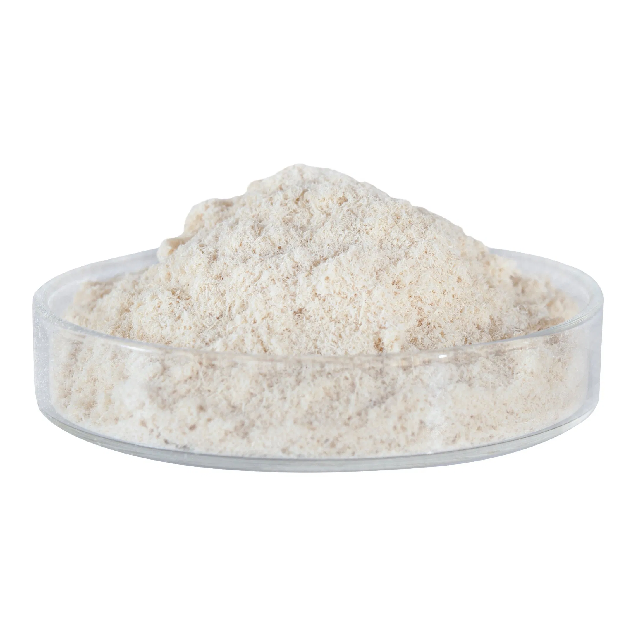 Building Material / Chemical Xylem Fiber